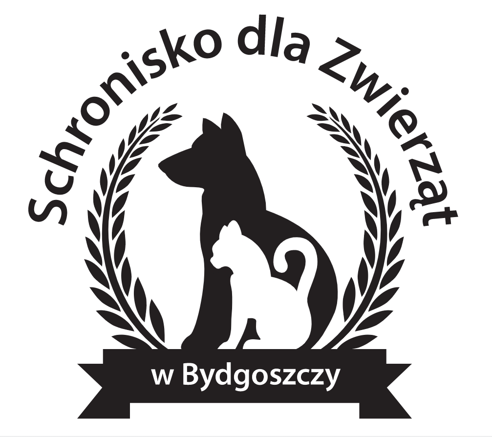 Politech supports the Animal Shelter in Bydgoszcz - POLITECH